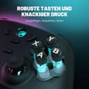 ECHTPower PC Wireless Controller, 1000Hz Gaming-Controller mit RGB/Hall-Joystick/Turbo/Vibration/800mAh Wiederaufladbare Batterie, Wireless-Controller für PC/Switch 2/Switch/Steam - 6