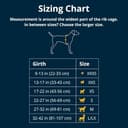 RUFFWEAR Hi & Light Y-Shaped Dog Harness, Extra Large, Lightweight & Padded, No Pull, Quick Release, 2 Lead Attachments, L/XL, Basalt Grey - 2