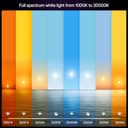Philips Hue Smart LED A60 Bulb, White and Color Ambiance, E27 Base, 8.1W, Full Spectrum Light 1000K-20000K, 1100 Lumens, Dimmable, Works with Alexa, Google Assistant, and Apple Home, 2 Pack - 2