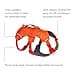 Ruffwear Web Master - Arnés para Perro, arnés Frontal en Y para Perro con asa y Hebilla Mejorada, Ajustable y Ligero para Paseos, antiescape, sin tirones, Transpirable y cómodo, Blaze Orange, S - 5