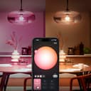 Philips Hue Essential Smart LED A60 Glühbirne,white and color, E27-Fassung, 8 W, 2200 K–6500 K, 806 lm, dimmbar, kompatibel mit Alexa, Google Assistant und Apple Home, 1er-Pack - 2