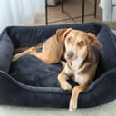 4L Textil IRIS Orthopädisches Hundebett Premium-LINE Hundekorb orthopädisch Kuscheliges Hundebett mit Bezug Memory Foam (80x60 cm, Dunkelgrau) - 5