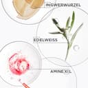 Kérastase, Genesis, Pflegeroutine mit Shampoo, Haarspülung & Hitzeschutzspray, Probierset für feines und brüchiges Haar, Gegen Haarverlust und Haarbruch - 7