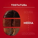 Lavazza, Qualità Rossa, Caffè in Grani, con Note Aromatiche di Cioccolato e Frutta Secca, Arabica e Robusta, Intensità 5/10, Tostatura Media, 4 Confezioni da 500 g - 6