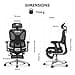 FLEXISPOT ErgoX Ergonomic Office Chair, Desk Chair with Footrest, 3D Armrests, 3D Headrest, 5D Backrest, Breathable Seat, 136 kg Maximum Load Capacity, Black - 2