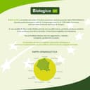 Le Fascine Olio Extravergine d'Oliva Provenzale Biologico 100% Italiano Prodotto da mono cultivar Provenzale (Latta da 3 Litri) - 4