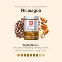 illy, Café en Grano Arabica Selection Nicaragua, 100% Arábica con Notas de Frutos Secos, Pan Tostado y Chocolate Negro, Sabor Envolvente, 1 lata de 250g (Paquete de 2) - 2