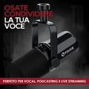 FDUCE Microfono Podcast dinamico vocale SL40 per podcast, giochi, streaming e registrazione dal vivo, Uscita per cuffie incorporata, Pulsante Mute LED, Microfono cardioide USB/XLR in metallo - 3