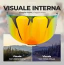 Everalo Visiera Compatibile con Shoei Nxr 2 - Z8 - Xspr Pro - X15 - Cwr F2 (Rosso Cromo) - 7