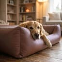 4L Textil Mario Orthopädisches Hundebett aus Kunstleder XL Hundekorb Kunstleder Große Hunde Memory Foam Visco Wasserabweisend Robust Komfortabel(120x90x25 cm, Braun) - 5