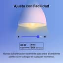 Tapo L530E (4 paquetes) – Bombilla LED inteligente Wi-Fi, multicolor, regulable, casquillo E27, 8.7W, 806 lúmenes, compatible con Alexa y Google Home - 3
