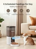 Distributore Automatico Cibo Gatti 4L Dispenser Crocchette Gatto Con Timer Programmabile e 10S Registrazione Distributore Cibo Gatti 1-6 Pasti al Giorno per Animali di Piccola e Media Taglia - 2