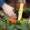 Brother PT-H100R | Stampante di Etichette Palmare fino a 12 mm|Stampa ad Alta Velocità fino a 20mm/sec| Etichette Serie TZe da 3.5 a 12 mm - 6