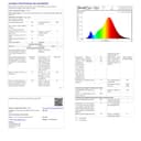 Tapo L530E Lampadina WiFi Intelligente LED Multicolore, E27, Lampadina Compatibile con Alexa e Google Home, 806 lumen, 8.7W, Senza hub richiesto, Controllo Remoto tramite APP, 2 pezzi - 9