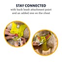 RUFFWEAR Arnés para Perros Hi & Light, Ultraligero para Caminar de Aventura, Totalmente Ajustable, Portal de Accesorios de Aluminio en V, Bolsa de identificación, Verde Salvia, Talla S, 56-69 cm - 4