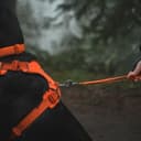 Ruffwear, Front Range Hundeleine, 1,5 m Lange Leine mit gepolstertem Griff für den täglichen Spaziergang, Blaze Orange - 4