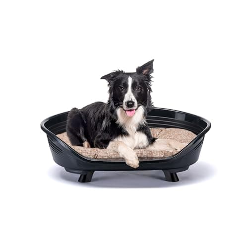 Ferplast Cama Perro y Gato con Cojin de Algodon, Cama Elevada Perro, Cama para Perros Medianos, Cesta Perro, Transpirable y Antideslizante, Throne 82 x 59,5 x h 29,5 cm, Negro