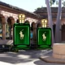 Ralph Lauren Polo Eau de Toilette für Herren, maskuliner Duft mit Pinie, Basilikum & Eichenmoos, holzig-krautige Nuancen, 125 ml - 5