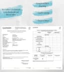 NOSTALGAIA 5 Litres Bio Griechisches Natives Olivenöl Extra – 100% Koroneiki, Kaltgepresst, Hoher Polyphenolgehalt, Frische Ernte 2024/2025, Premium Qualität, 5L Kanister - 3