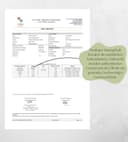 NOSTALGAIA 5 Litres Griechisches Natives Olivenöl Extra – 100% Koroneiki, kaltgepresst, frische Ernte 2024/25, sehr niedrige Säure, Premium Olivenöl, 5L Kanister - 3