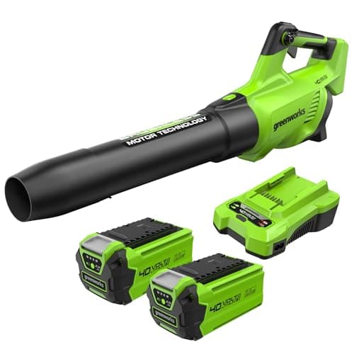 Greenworks GD40ABK2X Soffiatore Foglie Assiale a Batteria con Motore Brushless, 210km/h, 15,6m³/min, Due Batterie da 40V 2Ah e Caricabatterie, Garanzia 3 Anni