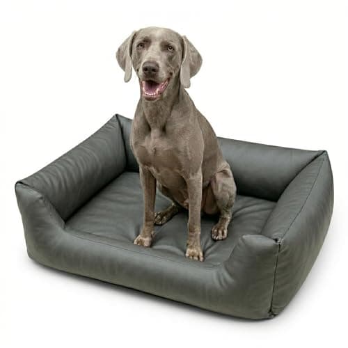 4L Textil Mario Cama Perro Ortopédica Polipiel Memory Foam Viscoelástica Impermeable Resistente Fácil de Limpiar Perros Medianos Premium 100x70 Grafito