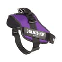 Julius-K9, IDC Powergeschirr, Größe: 2XL/3, Dunkelviolett - 5