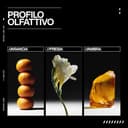 Redken | Trattamento professionale Acidic Bonding Concentrate ABC, Azione Riparatrice, Per Tutti i Tipi di Capelli Danneggiati, 150 ml - 4