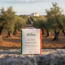 Itoliva - Organic 100% Italian Extra Virgin Olive Oil, cold extracted, 5 L, Monocultivar Ogliarola, Light Fruity taste - 4