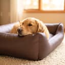 4L Textil Mario Orthopädisches Hundebett aus Kunstleder XL Hundekorb Kunstleder Große Hunde Memory Foam Visco Wasserabweisend Robust Komfortabel(120x90x25 cm, Braun) - 4