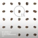 illy Chicchi di caffè, selezione di chicchi di caffè arabica di lusso, India, 250 g - 4