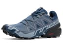 Salomon Men's Speedcross 6 Gore-TEX Sneaker, Spellbound, 9 - 1