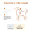 Amazon Basics Perro Trasportín con laterales flexibles, Grande, Negro, 50 x 30.4 x 30.4 cm (L x An x Al) - 4