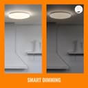 Philips - Plafon led Wiz 14W 1300 LM 250mm Marco Blanco EDM 93550 - 8