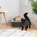 Iris Ohyama, Bandeja de Arena Extra Grande para Gatos, Caja de Arena XL, Gris, Bandeja de Lados Altos, Lados extraíbles, a Prueba de Fugas, fácil Limpieza, para Gatos Adultos Grandes, Dos Animales - 9