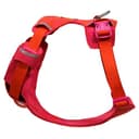 Ruffwear Front Range Flex Dog Harness, Adjustable & Soft, Lightweight Dog & Puppy Harness, 2 Lead Attachment Points, Engineered Knit & Reflective Trim, Rose Violet, Size Small - 8