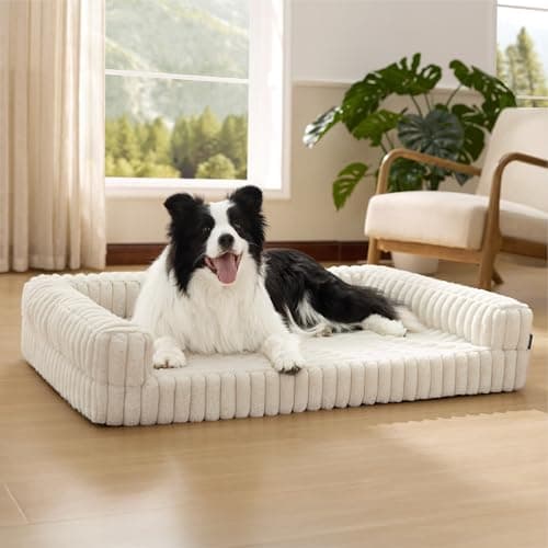 BEDSURE orthopädisches Hundebett Grosse Hunde - 89x64x18cm wasserdichtes Hundesofa mit Memory-Schaum & Eierkarton-Schaum, waschbarer und Abnehmbarer Cordbezug Hundecouch, Creme
