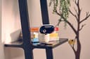 Motorola Nursery PIP1010 CON Baby Monitor-mit Kamera-Schwenken, Neigen, Zoomen und Nachtsicht-Wandhalterung-Motorola Nursery App-Raumtemperatur, Zwei-Wege-Kommunikation und Schlaflieder, Schwarz - 8