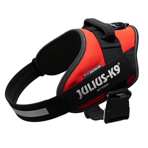 Julius-K9, Pettorina IDC Power, Taglia: L / 1, Colore: Rosso