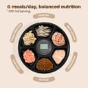 Distributore Automatico Cibo Gatti Umido: Dispenser Crocchette Gatto - Dosatore Crocchette per Gatti senza Fili - Dispenser Cibo Gatto 3AA Batteria - Distributore per Cani Timer - Refrigerazione - 3