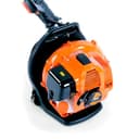 Soffiatore a scoppio a spalla/a zaino FUXTEC FX-LB133T, più di 300km/h (186mph), 0.9kW, 1.2hp, motore miscela di benzina a 2 tempi 33cc, imbottitura - facile soffiatura delle foglie o della neve - 5