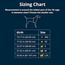 Ruffwear Web Master Dog Harness, Y-Front Dog Harness with Handle & Improved Buckle, Adjustable & Lightweight for Walks & Hikes, Anti Escape, No Pull, Breathable & Comfy, River Rock Green, Medium - 2