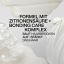 Redken Acidic Bonding Concentrate Weihnachtsset, Geschenkset mit ABC Shampoo, Conditioner und Leave-In, Zur intensiven Reparatur bei geschädigtem & coloriertem Haar, Schützt vor Farbverlust - 5