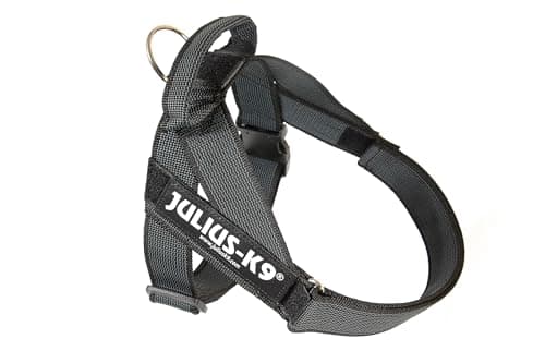 Julius-K9, IDC Color & Gray Belt Harness, taglia: M / 0, nero-grigio
