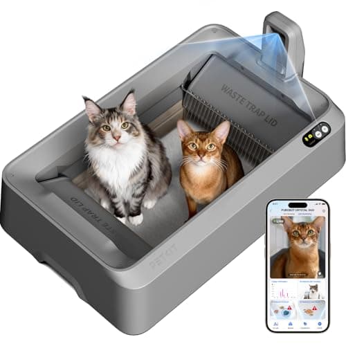 PETKIT PUROBOT CRYSTAL DUO Lettiera Gatto Autopulente con Telecamera AI, Monitoraggio APP, Deodorizzazione Doppia, Design Aperto Sicuro, Doppio Vano Raschiatura Bidirezionale per Gatti Grandi, Grigio