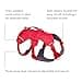 Ruffwear Web Master Dog Harness, Y Front Dog Harness with Handle and Improved Buckle, Adjustable and Lightweight for Walking and Hiking, Escape Proof No Pull, Red Canyon, Small - 5
