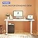 FLEXISPOT Scrivania Elettrica Regolabile in Altezza a 2 Motori 120x80 cm con Piano Unico, Pannello con Memoria, Portata 100 kg - 3