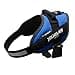 Julius-K9, Pettorina IDC Power, Taglia: M / 0, Colore: Blu - 1