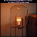 Philips Hue Bombilla LED Inteligente A60, White Ambiance, E27, 8,1 W, luz de espectro completo 1000 K-20.000 K, 1100 lm, regulable, funciona con Alexa, Google Assistant y Apple Home, Pack de 2 - 6