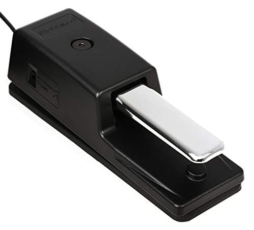 Roland DP-10 Pedal de Sustain